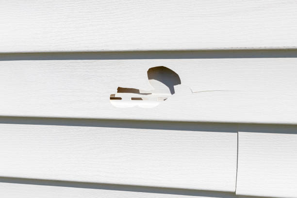 Storm Damage Siding Repair in Carey, OH